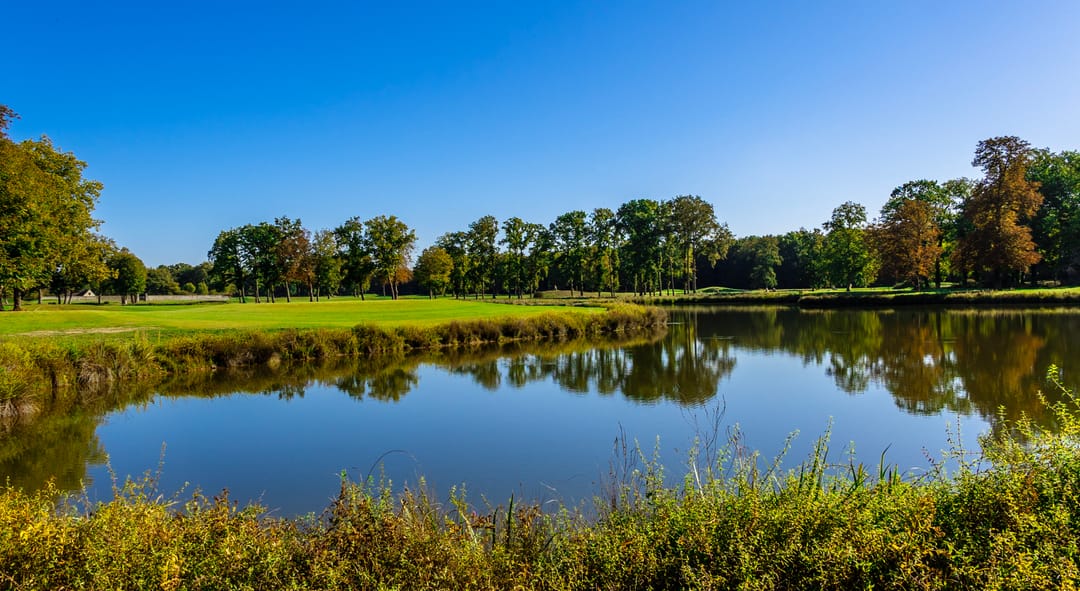Soleil filtrant à travers les arbres anciens au-dessus d’un fairway